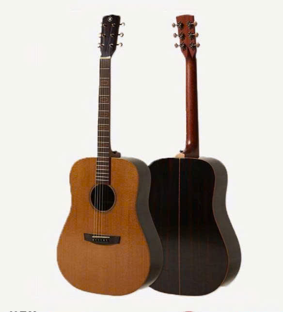 Đàn Guitar Acoustic Hex D570T
