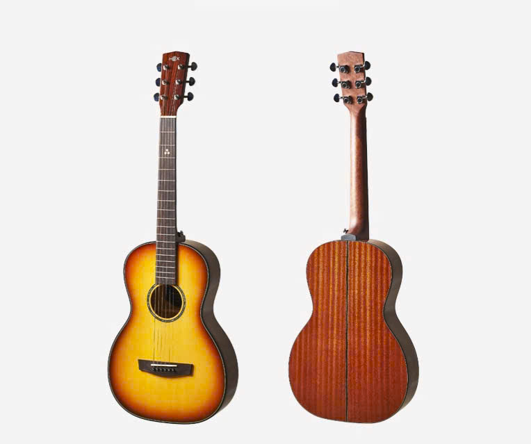 Đàn Guitar Acoustic Hex P300