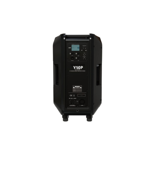 Y10P