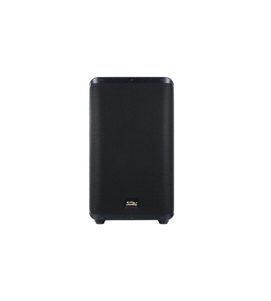Loa Active Soundking Y15P